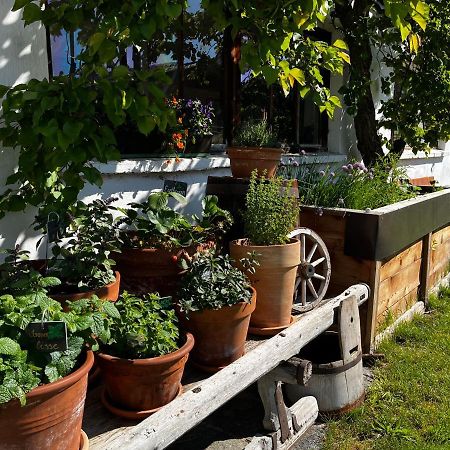 Gaestehaus Fitsch Obsteig Εξωτερικό φωτογραφία